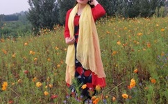 午夜欧美理论电影无码苦月亮